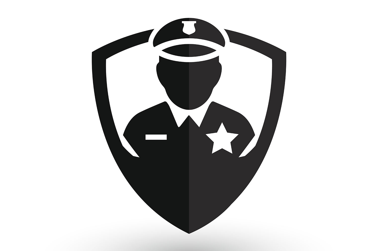 seguridad privada